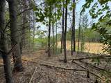 Lot #1 Bellinger Road - Photo 5
