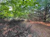 Lot #1 Bellinger Road - Photo 7