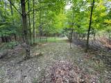Lot #1 Bellinger Road - Photo 8