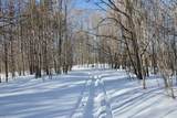 0 Schomberg Road - Photo 17