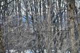 0 Schomberg Road - Photo 28