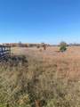 17.5 A Creighton Road - Photo 4