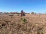 17.5 A Creighton Road - Photo 6