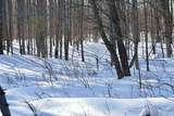 0 Schomberg Road - Photo 22