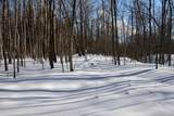0 Schomberg Road - Photo 24
