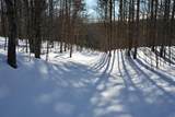 0 Schomberg Road - Photo 8