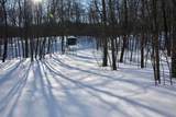 0 Schomberg Road - Photo 9