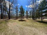 10743 Sprucedale Circle - Photo 46