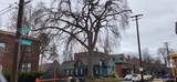 7906 Saint Paul Street - Photo 2