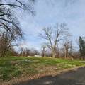 15401 Hazelton Street - Photo 2