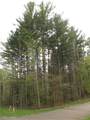 Lot 37 Alta Vista Drive - Photo 4