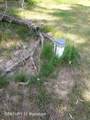 11038 Farrand Road - Photo 4