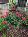 16456 Lakeshore Road - Photo 22