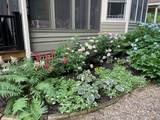 16456 Lakeshore Road - Photo 24
