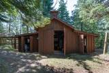 1 Ramsey Island - Photo 111