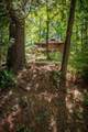 1 Ramsey Island - Photo 116