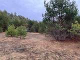 10299 Levi Lane - Photo 4