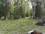 N17375 Co Rd 579 Road - Photo 13