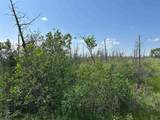 N17375 Co Rd 579 Road - Photo 9