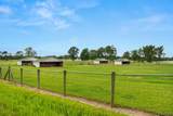 14091 Scio Church Road - Photo 69