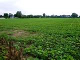 TBD Garfield Road - Photo 7
