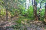 31664 Fish Hatchery Road - Photo 95