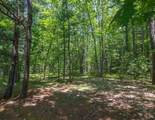 3851 Lazy Forest Trail - Photo 60
