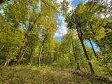 V/L Deer Lake Road - Photo 10