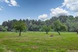 19839 Witt Road - Photo 4