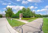 40637 Tulip Trace - Photo 11