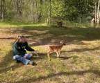 7 4 Mile Road - Photo 55