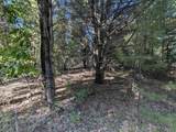 N/A Forest Lake Drive - Photo 4