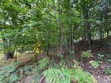 Lot 5 Old Mountain Road - Photo 9