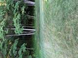 44994 Sondra Drive - Photo 34