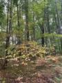Lot 681 Elm Drive - Photo 2