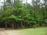 Parcel F3A Jackson Creek Road - Photo 1