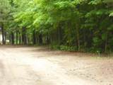 Parcel F3A Jackson Creek Road - Photo 6