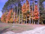 Parcel F3A Jackson Creek Road - Photo 7