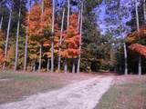 Parcel F3A Jackson Creek Road - Photo 8