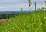 9224 Duck Lake Road - Photo 3