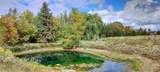 6098 Burtch Street - Photo 6