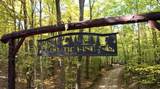 6402 Rustic Pine Trail Trail - Photo 15