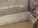 35754 Erie Drive - Photo 83