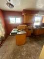 19721 Hasse Street - Photo 3