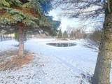 47546 Belmont Drive - Photo 59
