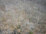 4986 Ridge Road - Photo 43