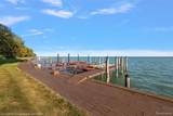 49016 Point Lakeview Street - Photo 12