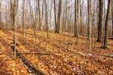 158 Forest Highlands - Photo 12