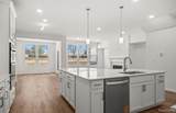5658 Corgi Drive - Photo 8