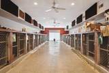 3650 Hogback Road - Photo 46